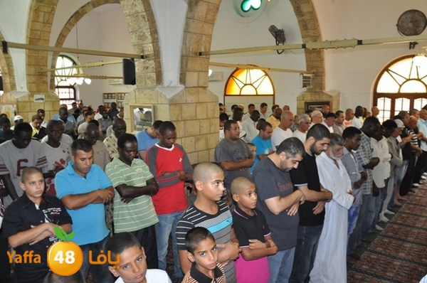 3eed 7san bek 808 (21).JPG